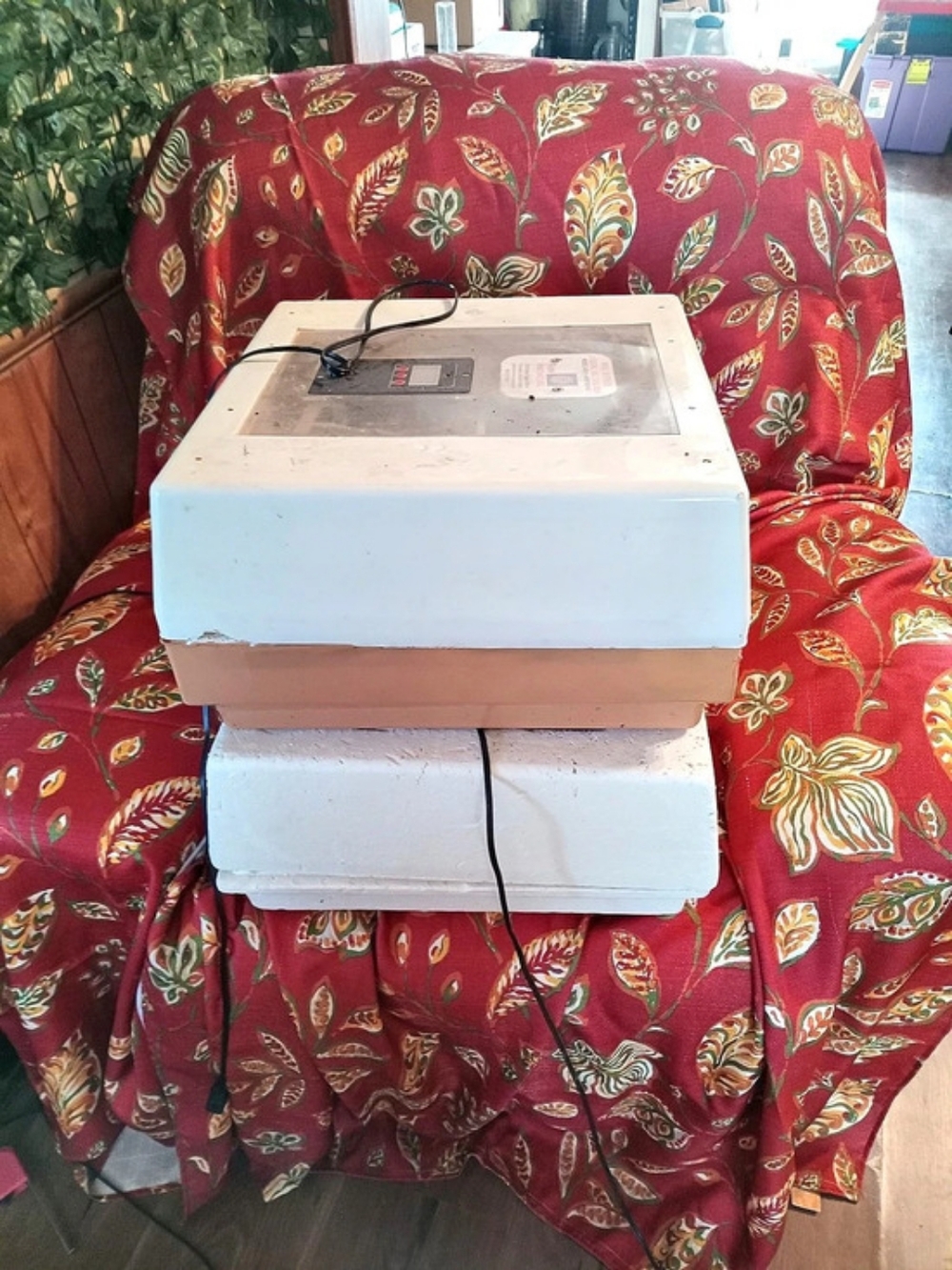 Farm Innovators Pro Series Digital Incubator Model 4250